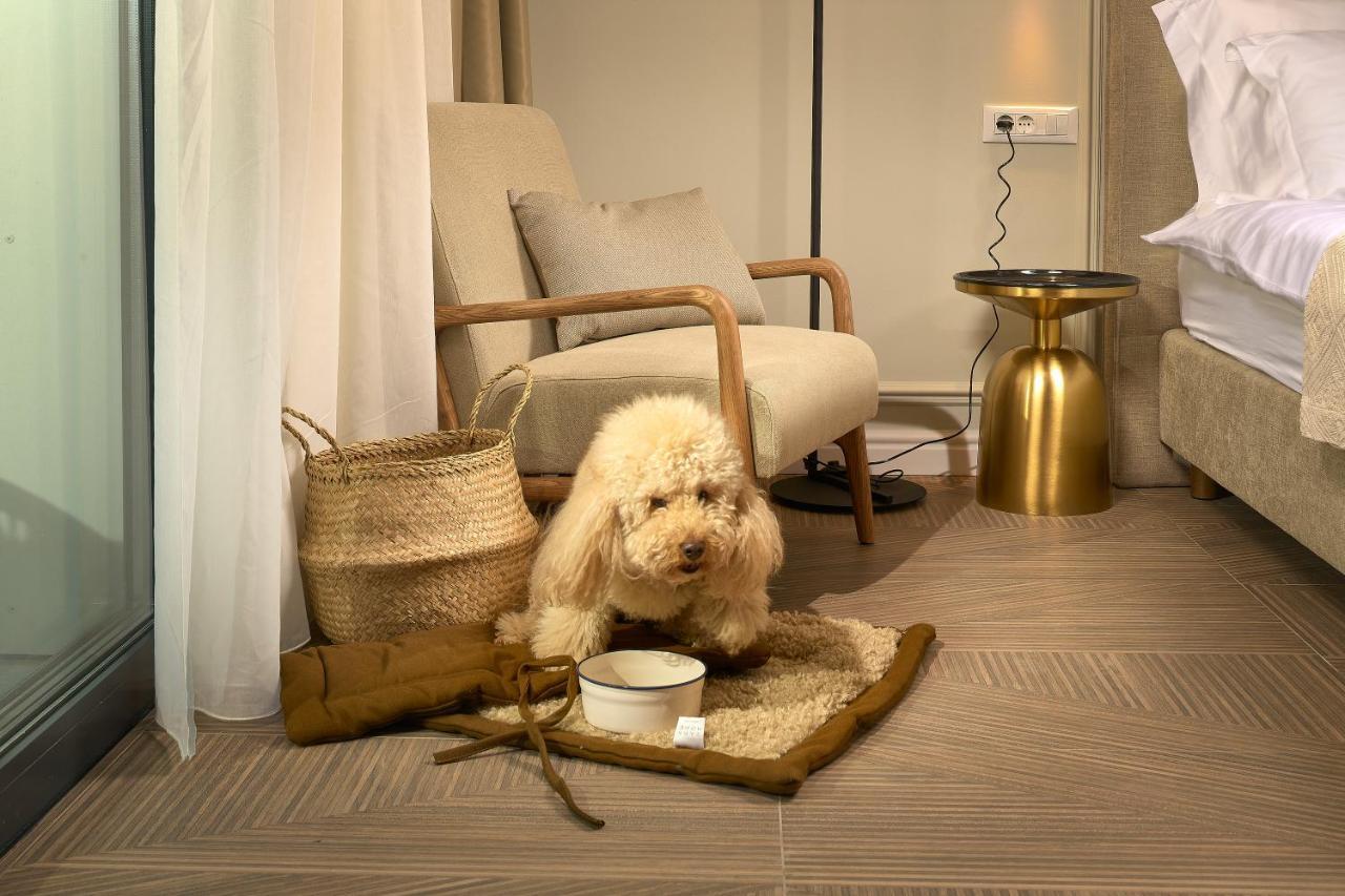 Luxury Apartments Villa Mala スプリト エクステリア 写真